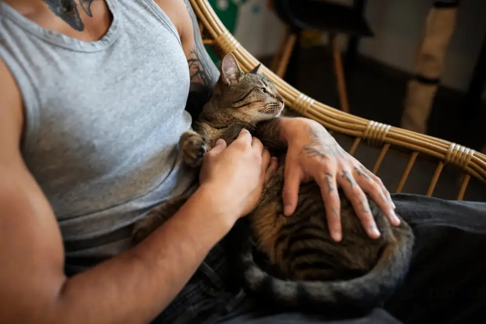 Does Your Cat Follow You Everywhere? What It Means When Your Cat Won't Leave Your Side