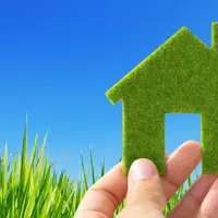 5 reguli simple pentru a trai mai ecologic