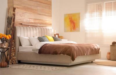 Tendințe culori în designul de interior în toamna 2024