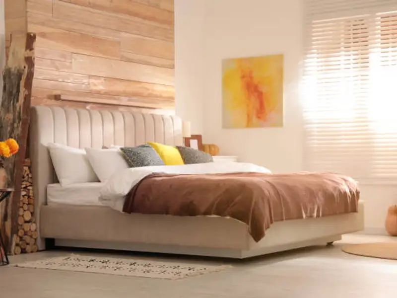 Tendințe culori în designul de interior în toamna 2024