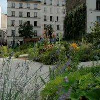 Betonul prinde viață: revoluția verde a grădinilor comunitare și pe acoperișuri în orașele României (2025)