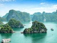 Vietnam: noul hub al luxului exotic și al afacerilor cu aroma de cafea