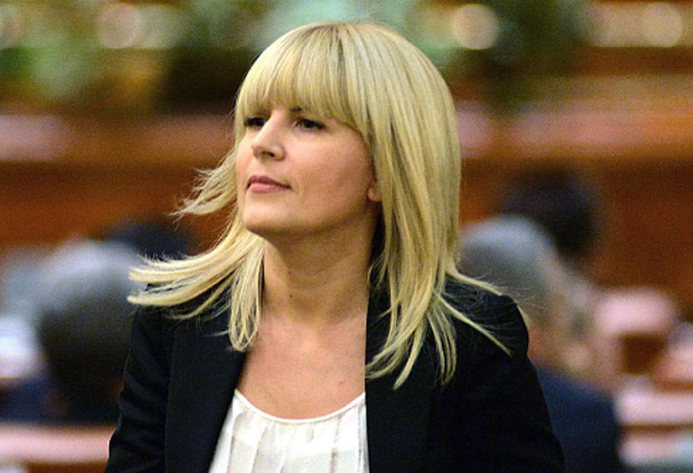 Elena Udrea i-a sensibilizat pe judecători și procurori. Fostul ministru a obținut o victorie importantă în instanță
