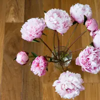 8 trucuri pentru ingrijirea florilor din vaza