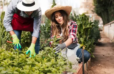 Cum să protejezi grădina de dăunători în mod natural – Metode ecologice și soluții naturale pentru a preveni și combate dăunătorii în grădină, fără substanțe chimice.
