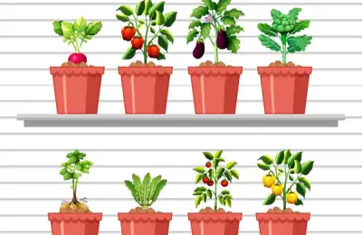 Cum să Creezi o Grădină de Legume pe Balcon: Ghid Pas cu Pas