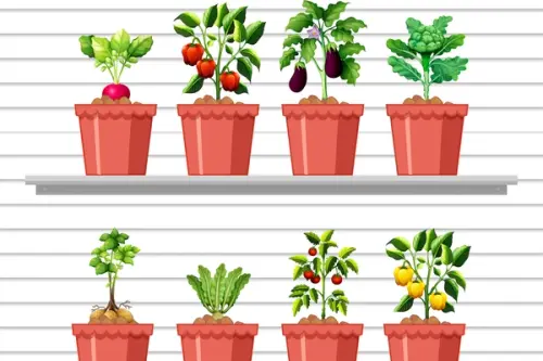 Cum să Creezi o Grădină de Legume pe Balcon: Ghid Pas cu Pas