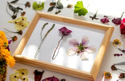 11 Creative DIY Ideas to Repurpose Household Objects