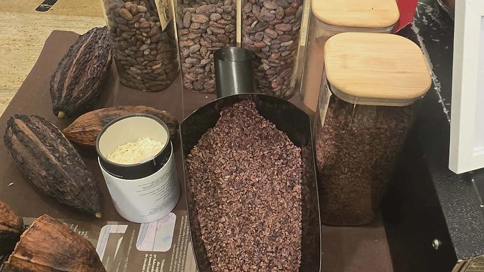 Cum a fost la Chocolate Saga din Bucuresti