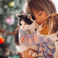 Pisicuțe și căței își caută o familie în acest weekend. Târg de adopții ASPA în Parcul Herăstrău, cu zeci de blănoși gata să fie iubiți