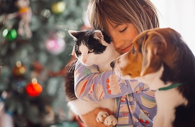 Pisicuțe și căței își caută o familie în acest weekend. Târg de adopții ASPA în Parcul Herăstrău, cu zeci de blănoși gata să fie iubiți