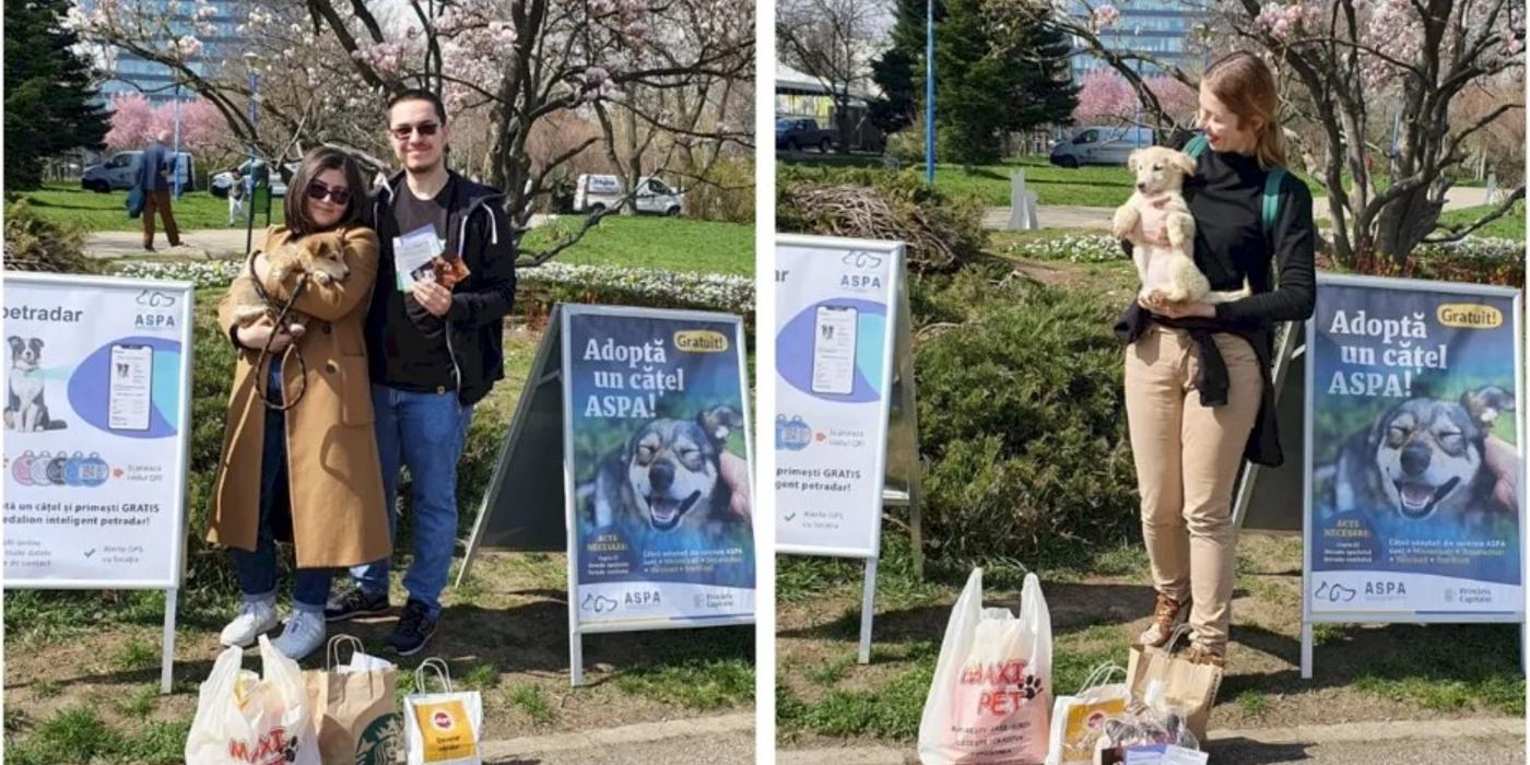 Sâmbătă, 25 martie 2023, a avut loc primul târg de adopții ASPA din acest an
