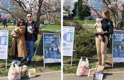 Sâmbătă, 25 martie 2023, a avut loc primul târg de adopții ASPA din acest an