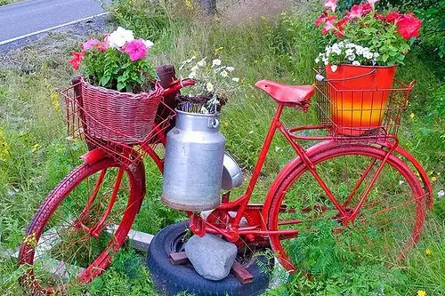 Recipiente creative pentru gradina ta