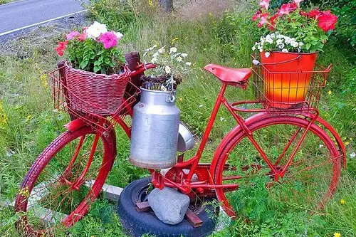 Recipiente creative pentru gradina ta