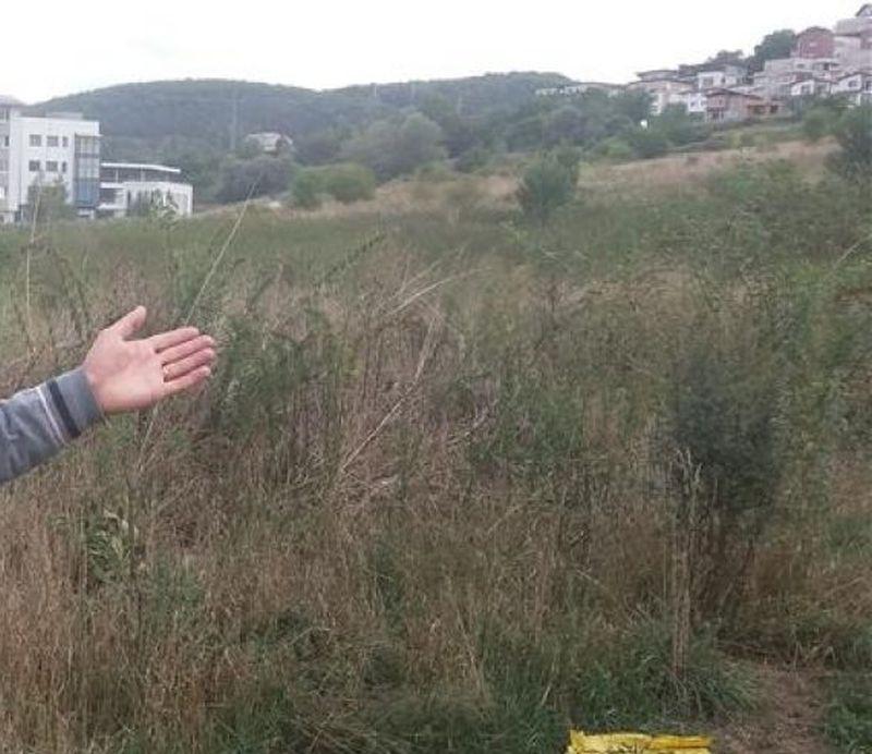 Premieră la Cluj! Se va construi un campus universitar dual