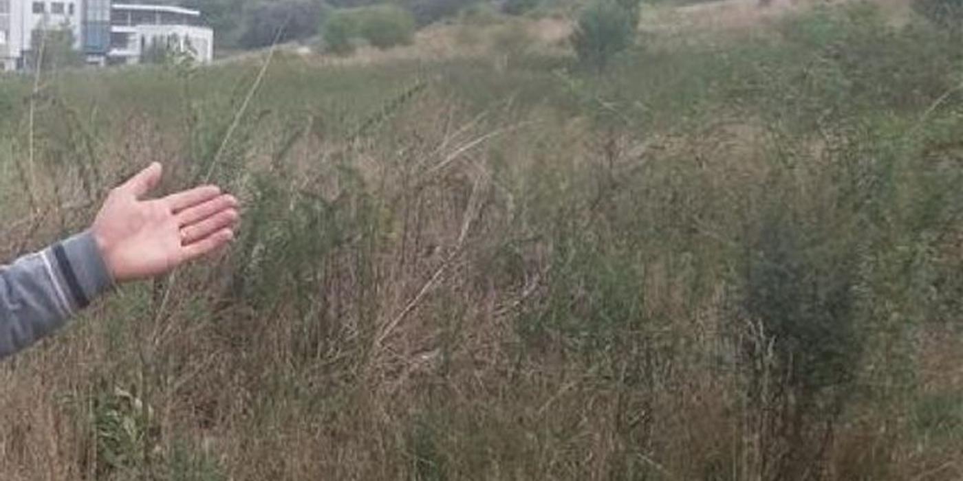 Premieră la Cluj! Se va construi un campus universitar dual