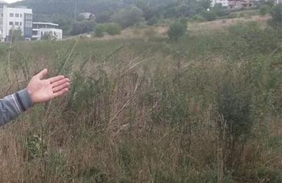 Premieră la Cluj! Se va construi un campus universitar dual