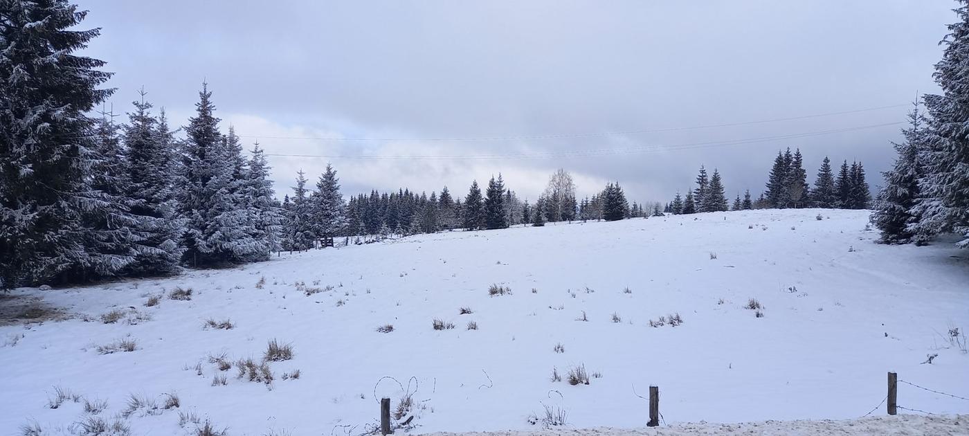 Iarna a albit înălțimile Apusenilor