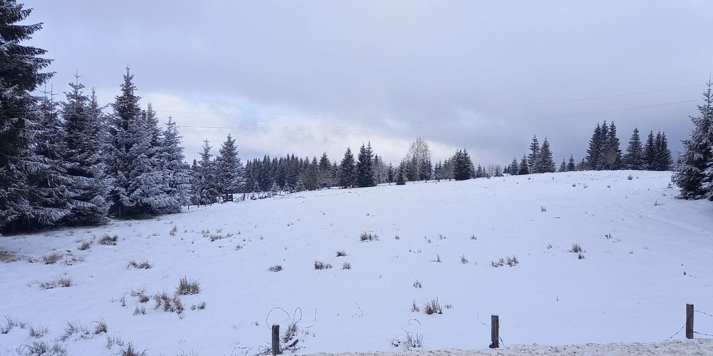 Iarna a albit înălțimile Apusenilor