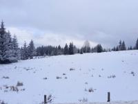 Iarna a albit înălțimile Apusenilor