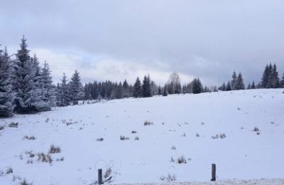 Iarna a albit înălțimile Apusenilor