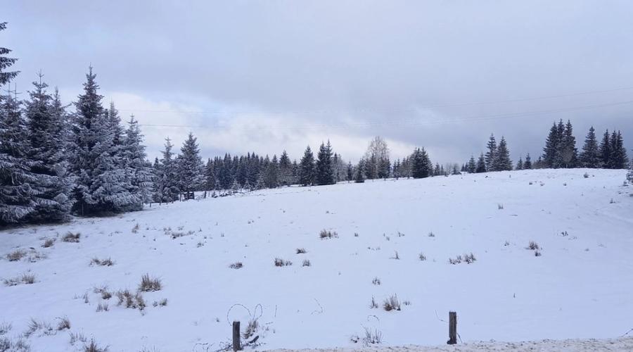 Iarna a albit înălțimile Apusenilor