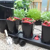 Principalii daunatori din gradina ta