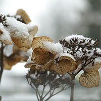 Prognoza meteo, 25 octombrie. Frig, ploi și ninsori la munte. Vreme capricioasă la început de weekend