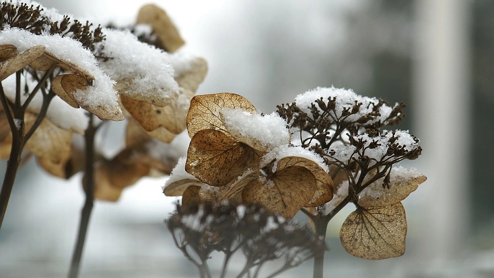 Prognoza meteo, 25 octombrie. Frig, ploi și ninsori la munte. Vreme capricioasă la început de weekend