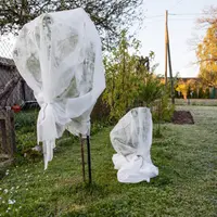 Protejarea arborilor fructiferi în timpul iernii: Sfaturi utile