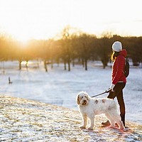 De la ger la ploaie. Sfârșit de ianuarie cu temperaturi neașteptate