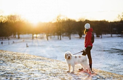 De la ger la ploaie. Sfârșit de ianuarie cu temperaturi neașteptate