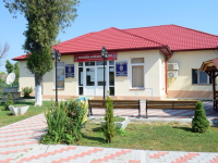 Tranziția verde a satului dobrogean. Primăria Nicolae Bălcescu investește peste 169.000 de lei într-o autoutilitară plug-in hibrid