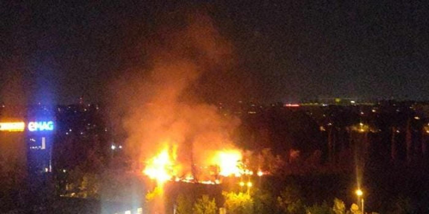 Incendiu puternic în Parcul IOR din București. Au ars 4.000 de metri pătrați de vegetație