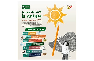 „Academia Insecta” revine la Antipa în cadrul Școlii de Vară, între 28 iulie și 1 august