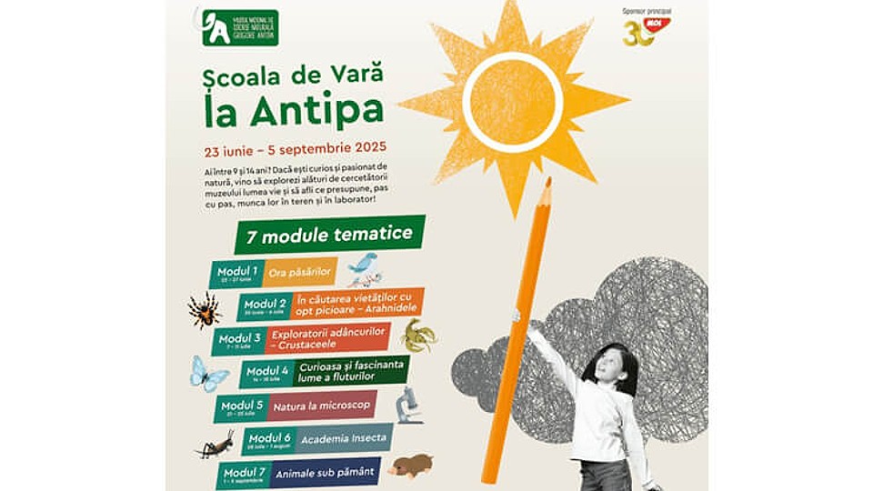 „Academia Insecta” revine la Antipa în cadrul Școlii de Vară, între 28 iulie și 1 august