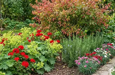 Dacă ești pretențioasă la finisaje am găsit în sfârșit o soluție naturală care oferă marginilor grădinii un aspect profesional