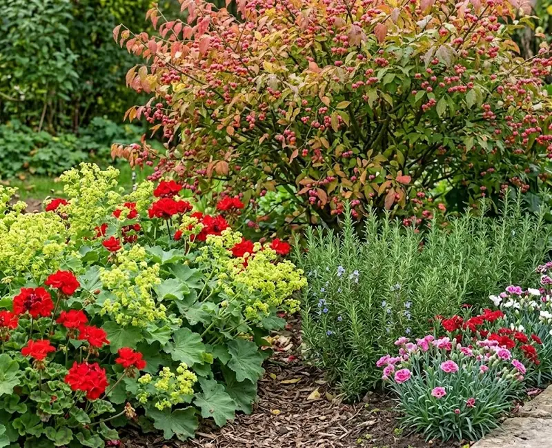 Dacă ești pretențioasă la finisaje am găsit în sfârșit o soluție naturală care oferă marginilor grădinii un aspect profesional