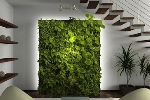 Gradinile verticale sau Cum sa aduci natura in casa ta