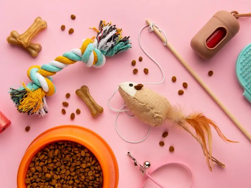 Idei DIY pentru animalele de companie