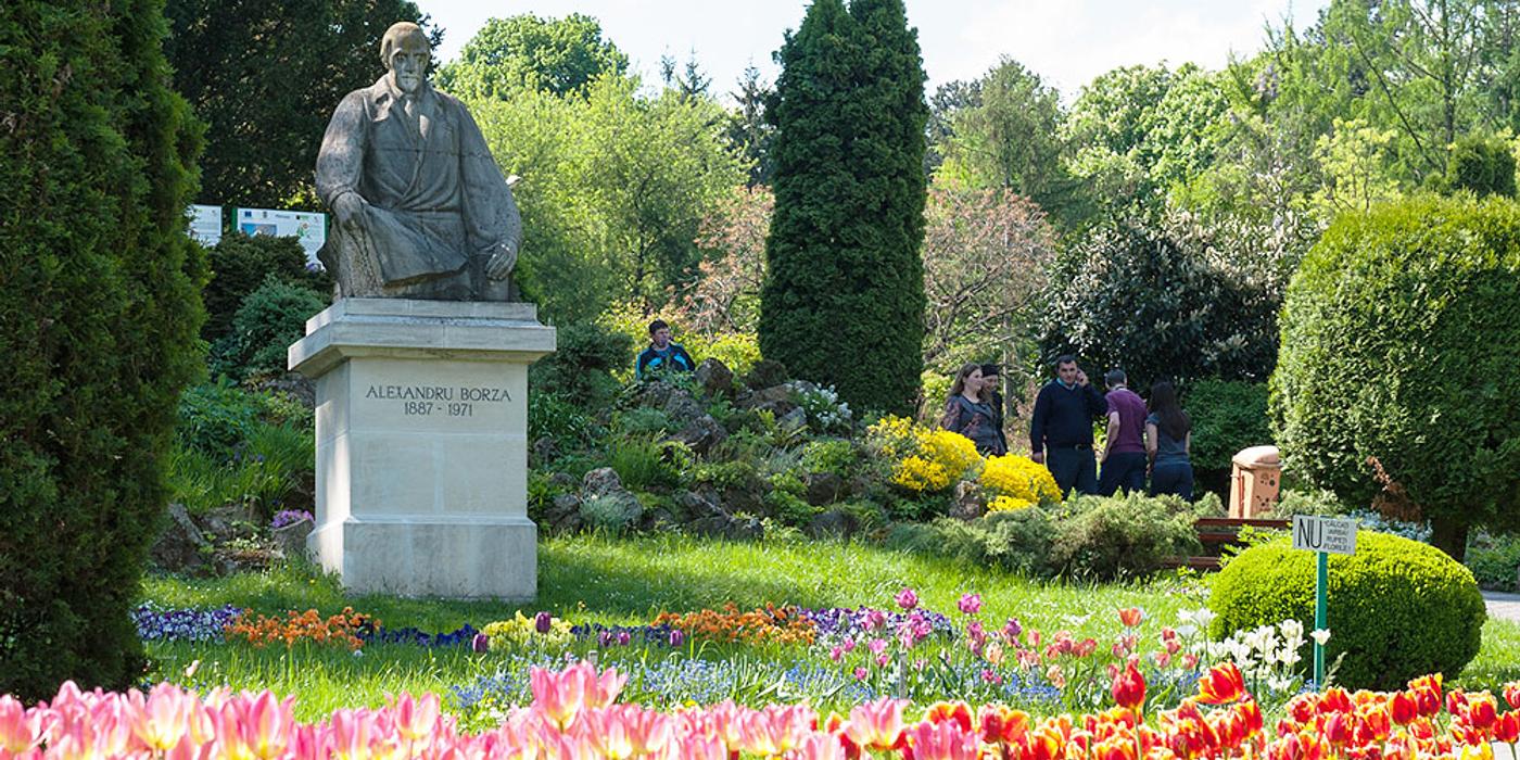 De astăzi, 20 noiembrie, sera cu plante suculente din cadrul Grădinii Botanice este deschisă pentru vizitatori