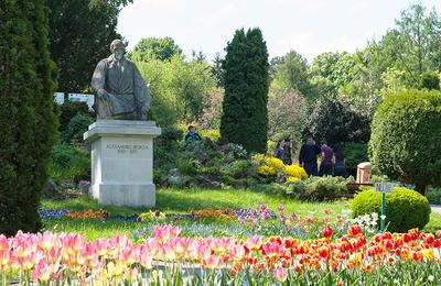 De astăzi, 20 noiembrie, sera cu plante suculente din cadrul Grădinii Botanice este deschisă pentru vizitatori