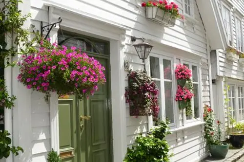 Decor cu plante si flori pentru exteriorul casei