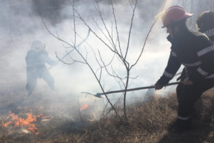 Incendiu de vegetație, vineri după-amiază, în localitatea clujeană Bonțida
