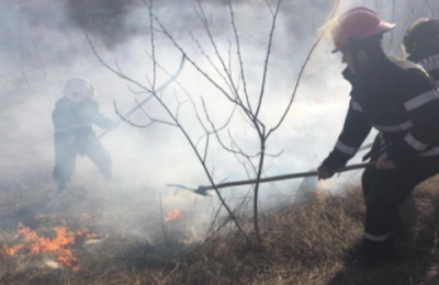 Incendiu de vegetație, vineri după-amiază, în localitatea clujeană Bonțida
