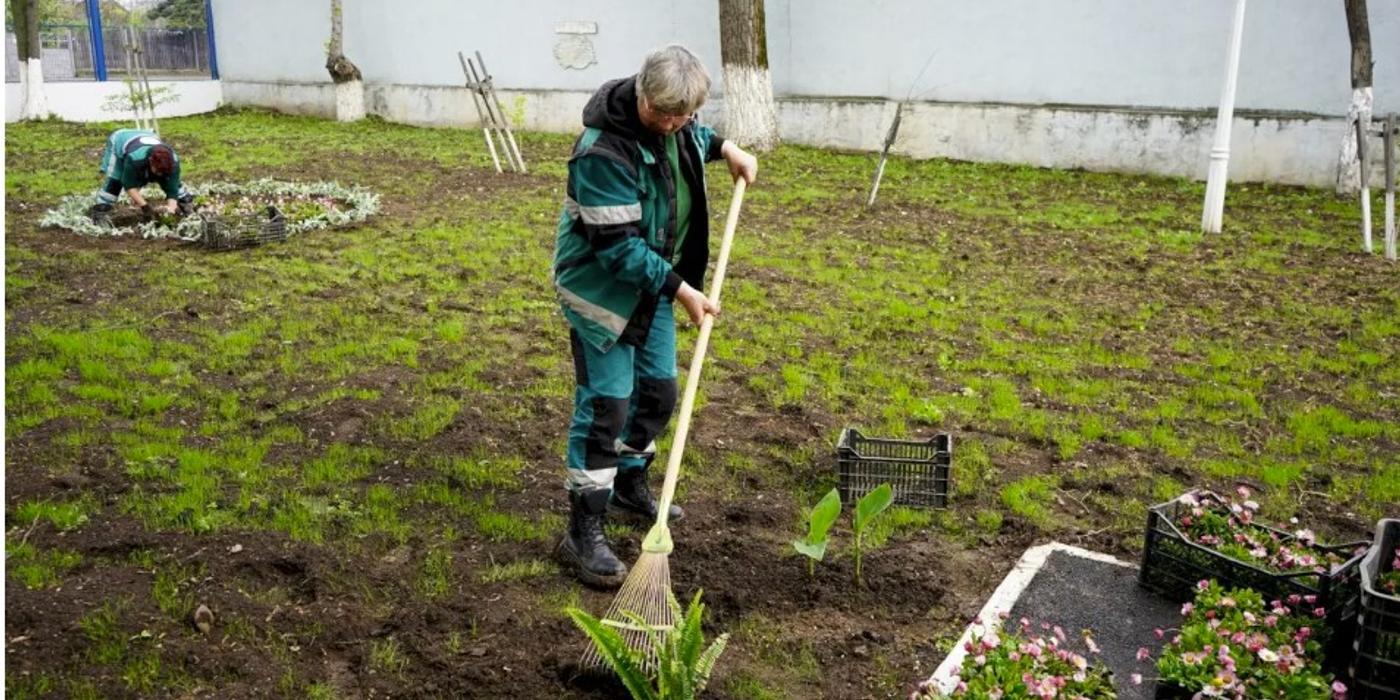 Pentru a înfrumuseța aria administrată, vor fi plantate flori în curțile școlilor din Sectorul 5