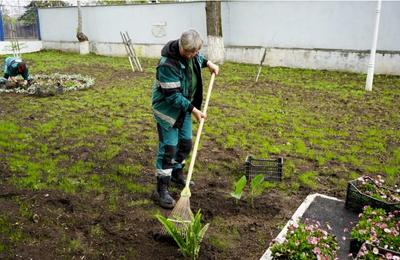 Pentru a înfrumuseța aria administrată, vor fi plantate flori în curțile școlilor din Sectorul 5