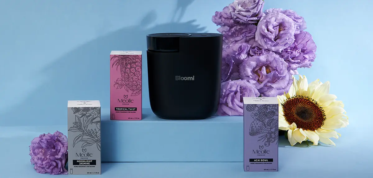 Povestea aromelor: de la decorul casei la stilul tău de viață