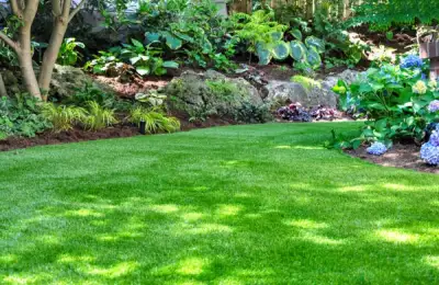 The Secret of a Beautiful and Healthy Garden